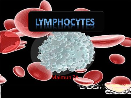 Maimun ZA. 1. Site of Lymphocyte Maturation Lymphocyte arise from bone marrow-derive precursor = hematopoetic cells From pluripotent stem cells The sites: