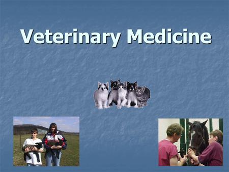 Veterinary Medicine. Why People Consider Veterinary Medicine As a Career  Compassion and respect for animals  Interest in science and medical research.