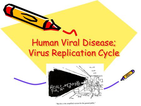 Human Viral Disease; Virus Replication Cycle. Human-Virus Interaction Virus extinction Clear virus, immunity Large number of deaths Small Population –Favors.
