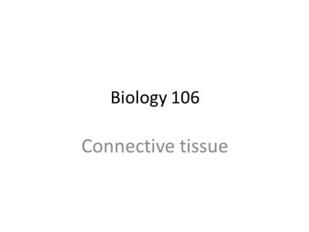 Biology 106 Connective tissue. Outline Connective tissue  Defination,Componants,and Function T.S. of dense bone Blood smear of mammal Muscular tissue.