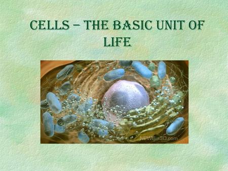 Cells – The Basic Unit of Life The Characteristics of Living Things §All living things have these six characteristics. §Anything without one of these.