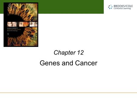 Chapter 12 Genes and Cancer.