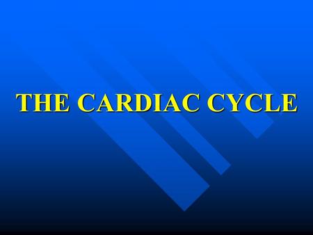 THE CARDIAC CYCLE.