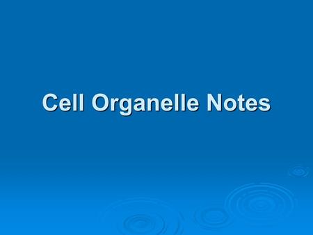 Cell Organelle Notes.
