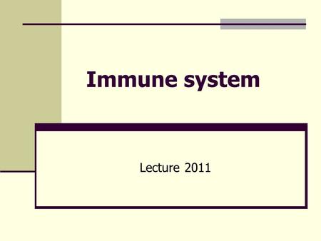 Immune system Lecture 2011. Immune system Innate - non-specific (no immunisation required) o physical barriers (skin, mucosa, cilia) o biological barriers.