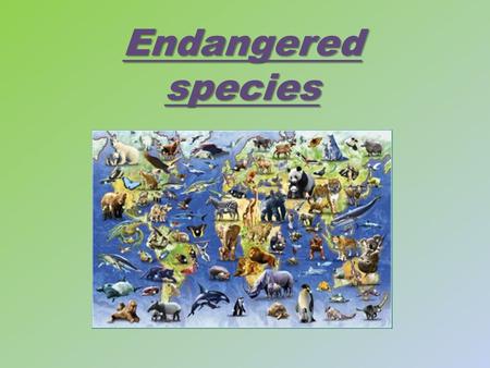 Endangered species. International Union for Conservation of Nature and Natural Resources IUCN Some people have made an environmental institution in 1948.