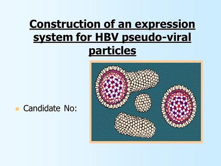 Construction of an expression system for HBV pseudo-viral particles Candidate No: Candidate No: