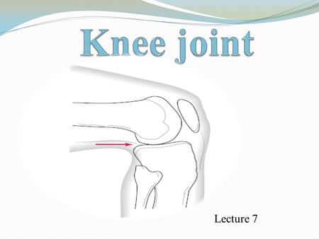 Knee joint Lecture 7.