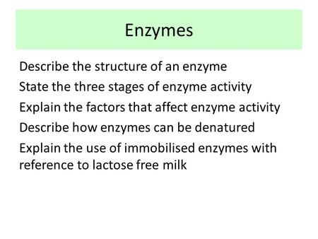 Enzymes Describe the structure of an enzyme State the three stages of enzyme activity Explain the factors that affect enzyme activity Describe how enzymes.