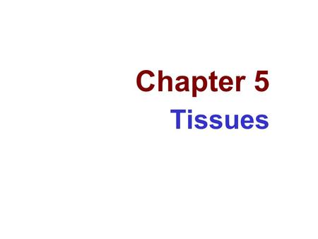 Chapter 5 Tissues.