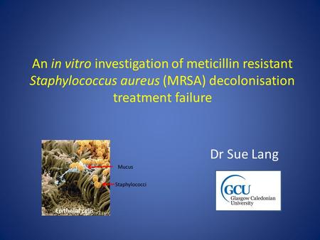 An in vitro investigation of meticillin resistant Staphylococcus aureus (MRSA) decolonisation treatment failure Dr Sue Lang.