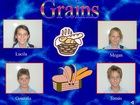 Lucila Megan GonzaloTomás. Grain is one of the four food groups. Some grains are: barley, buckwheat, spaghetti, pasta, popcorn, oats, rice, soy, wheat,