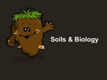 Soils & Biology.