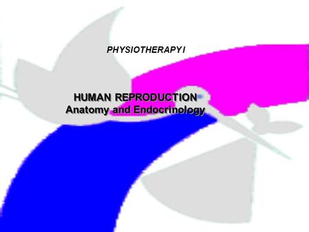 PHYSIOTHERAPY I HUMAN REPRODUCTION Anatomy and Endocrinology HUMAN REPRODUCTION Anatomy and Endocrinology.
