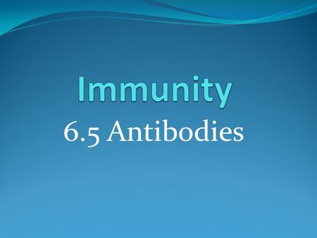 Immunity 6.5 Antibodies.