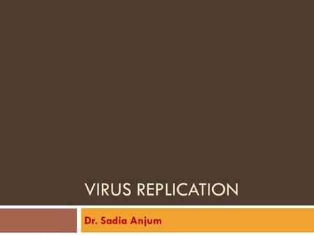 Virus Replication Dr. Sadia Anjum.