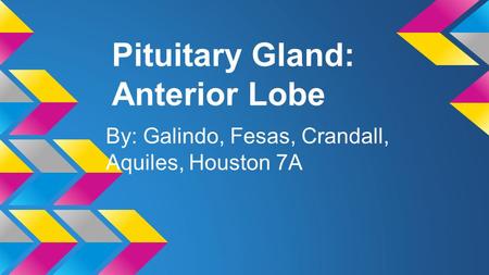 Pituitary Gland: Anterior Lobe By: Galindo, Fesas, Crandall, Aquiles, Houston 7A.
