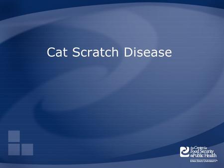 Cat Scratch Disease.