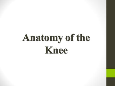Anatomy of the Knee.