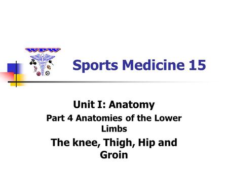 Part 4 Anatomies of the Lower Limbs The knee, Thigh, Hip and Groin