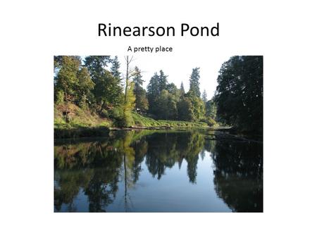Rinearson Pond A pretty place. This pretty place has been created by the minds and hands of many people. Unfortunately, upon close examination, many plans.