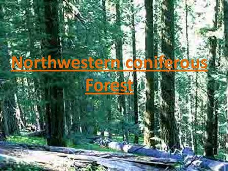 Northwestern coniferous Forest. zoology Coniferous forests cover huge areas but have fewer kinds of plants and animals than any other forests. Though.