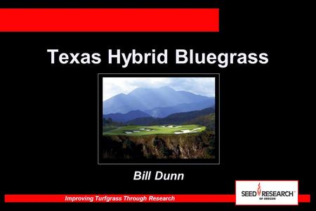 Improving Turfgrass Through Research Texas Hybrid Bluegrass Bill Dunn.