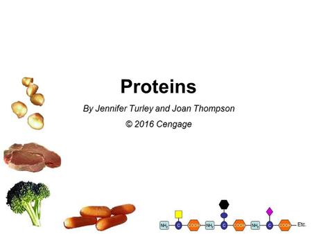 Proteins By Jennifer Turley and Joan Thompson © 2016 Cengage.