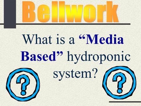 What is a “Media Based” hydroponic system?. Lesson #3 Media and Lighting.