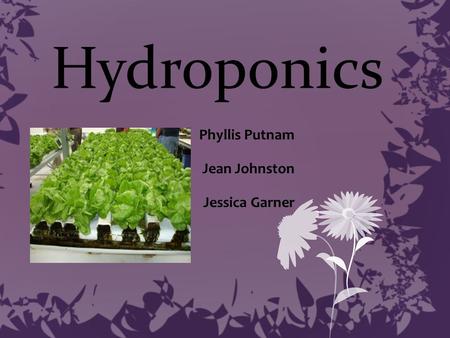 Hydroponics Phyllis Putnam Jean Johnston Jessica Garner.