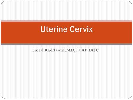 Emad Raddaoui, MD, FCAP, FASC Uterine Cervix. SQUAMO-COLUMNAR JUNCTION.
