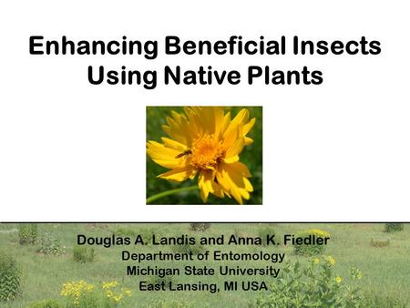 Enhancing Beneficial Insects