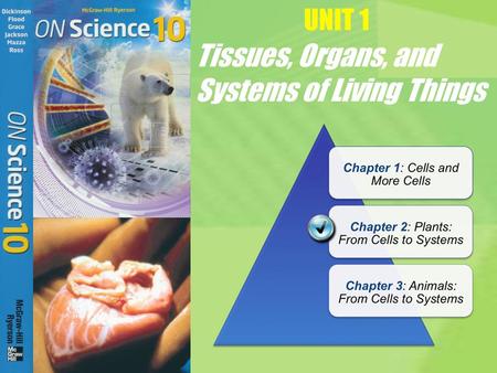 UNIT 1 Tissues, Organs, and Systems of Living Things.