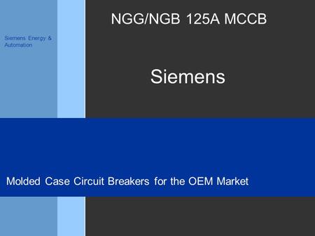 Molded Case Circuit Breakers for the OEM Market
