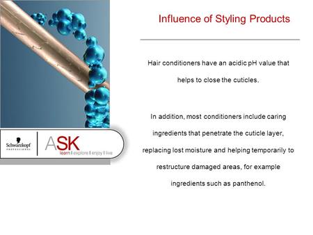 Influence of Styling Products