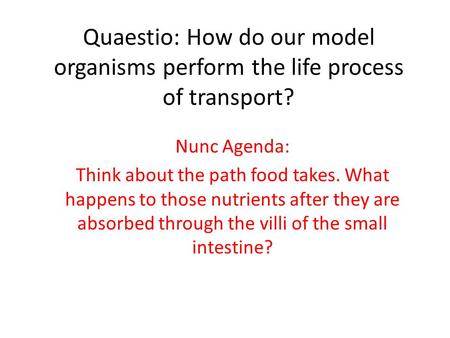 Quaestio: How do our model organisms perform the life process of transport? Nunc Agenda: Think about the path food takes. What happens to those nutrients.