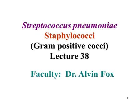1 Streptococcus pneumoniae Staphylococci (Gram positive cocci) Lecture 38 Faculty: Dr. Alvin Fox.