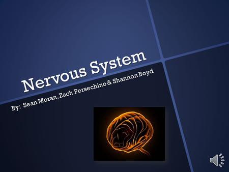 Nervous System By: Sean Moran, Zach Persechino & Shannon Boyd.