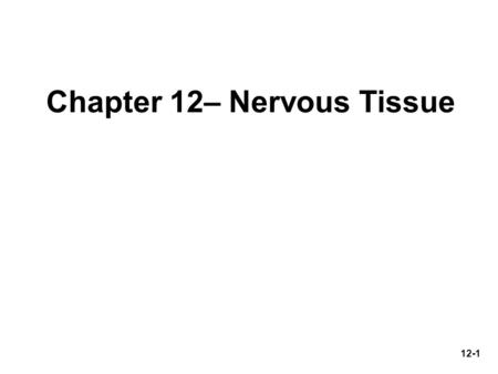 Chapter 12– Nervous Tissue