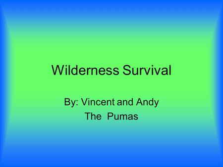 Wilderness Survival By: Vincent and Andy The Pumas.