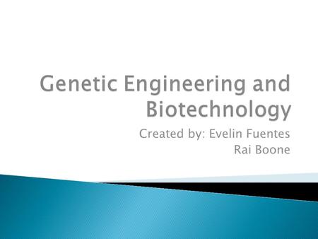 Created by: Evelin Fuentes Rai Boone.  Genetic engineering : the deliberate manipulation of genetic material.  Genetic code : The sequence of nucleotides.