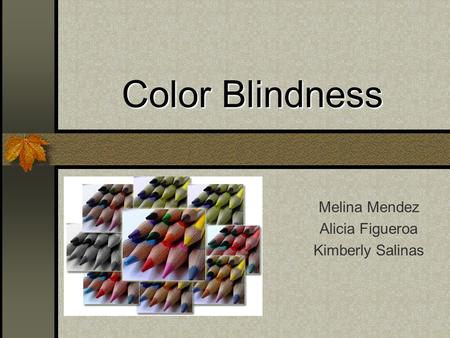 Color Blindness Melina Mendez Alicia Figueroa Kimberly Salinas.