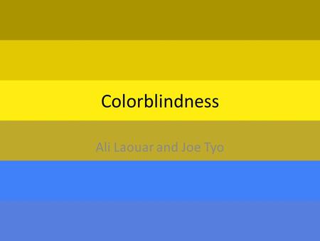 Colorblindness Ali Laouar and Joe Tyo. How does the person inherit it? 1.How does a person inherit it? Most color blindness is heritable, usually as simple.