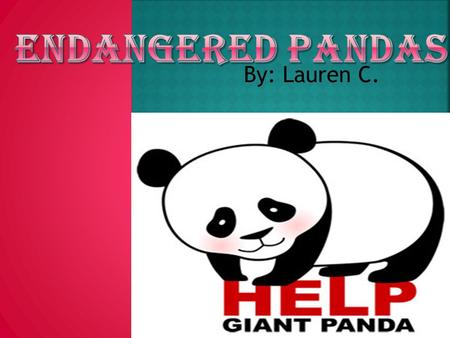 By: Lauren C.. Do you care about pandas? Would you help them if you could?