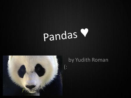 Pandas ♥ by Yudith Roman (:. Where do pandas live? Pandas live in temperate-zone bamboo forest in Central China.