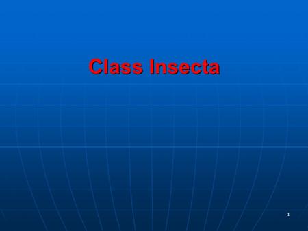 1 Class Insecta. 2 Subphylum Uniramia Class Insecta (Hexapoda)