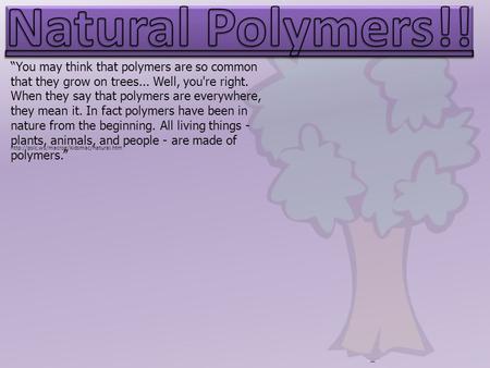 “You may think that polymers are so common that they grow on trees... Well, you're right. When they say that polymers are everywhere, they mean it. In.