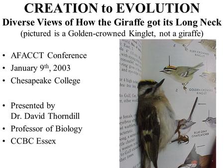 CREATION to EVOLUTION Diverse Views of How the Giraffe got its Long Neck (pictured is a Golden-crowned Kinglet, not a giraffe) AFACCT Conference January.