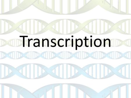 Transcription. Central Dogma of Biology Information flows from DNA  RNA  Proteins Think of it as exchanging money in a different country: proteins cannot.