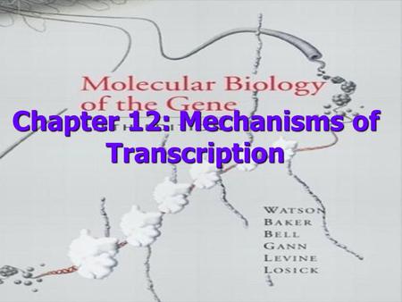 Chapter 12: Mechanisms of Transcription